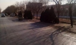 沙河村最新爆料,揭秘乡村发展背后的故事