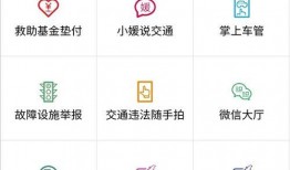 最新通行证爆料新闻稿,揭秘通行证新规与实施细节