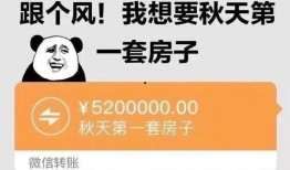 奶茶联动最新爆料,揭秘最新联动爆料背后的惊喜与期待