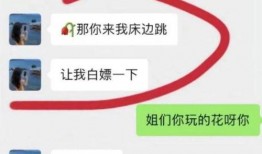 胖猫最新证据爆料,揭秘事件背后惊人真相