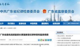 今日广东爆料最新消息,揭秘神秘事件背后的真相