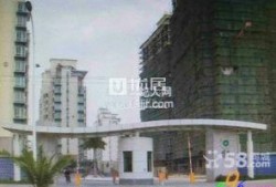 绿洲华府爆料最新消息,揭秘神秘项目背后的真相