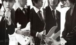 维尼夫妇最新爆料,揭秘甜蜜背后的真实故事