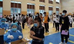 悉尼爆料后续最新消息网,最新进展揭秘，真相逐渐浮出水面