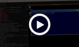 黑客最新爆料视频在线,黑客最新爆料视频深度解析