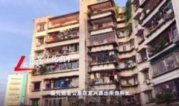 重庆沙坪坝最新爆料,揭秘城市变迁中的热点事件