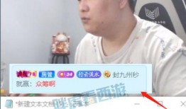 爆料哥最新招聘视频在线观看,揭秘团队新成员与未来发展方向