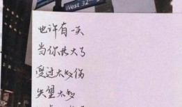 最新茶叶爆料文案短句子,探寻茶香背后的秘密与传奇”