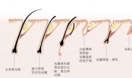陕西医美爆料事件视频最新,揭秘行业乱象，患者权益谁来守护？