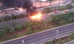 厦门海翔大道爆料最新消息,施工进展与周边影响速览